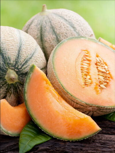 Meloen - Melon