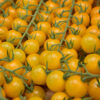 Tomaat aperitief geel - tomate cerise jaune - Afbeelding 2