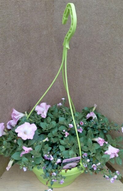 Hangpot 27cm mix - Afbeelding 2
