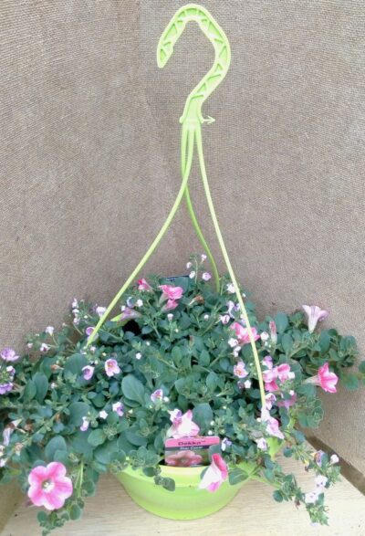 Hangpot 27cm mix