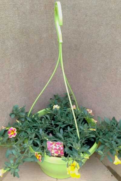 Hangpot 27cm minipetunia