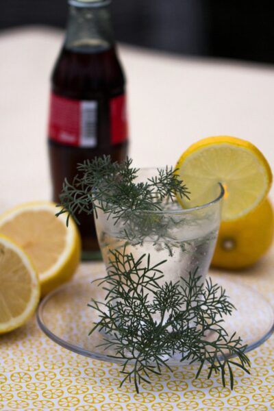 Artemisia abrotanum 'Coca Cola' - colakruid - herbe de cola - Afbeelding 2
