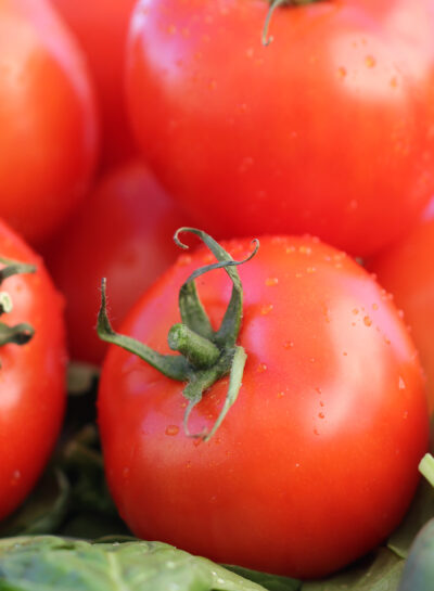 Vleestomaat - tomate a chair ferme - Afbeelding 2